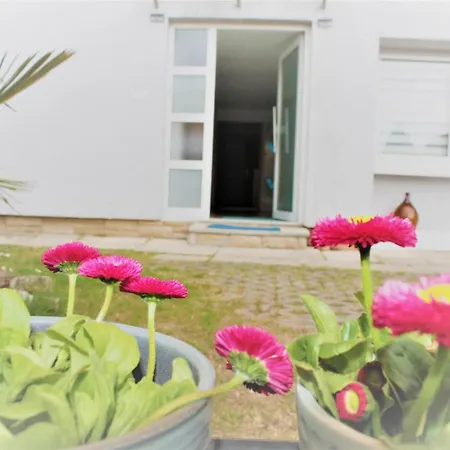 Fewo- Und Monteurswohnung Morgentau Apartment Germersheim