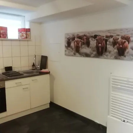 Fewo- Und Monteurswohnung Morgentau Apartment