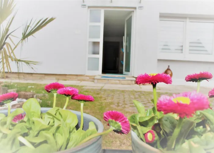 Morgentau 公寓 格尔梅斯海姆